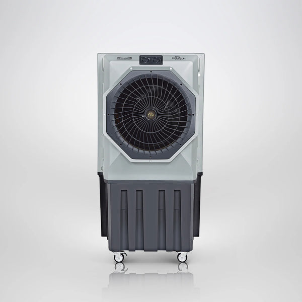 Cooler